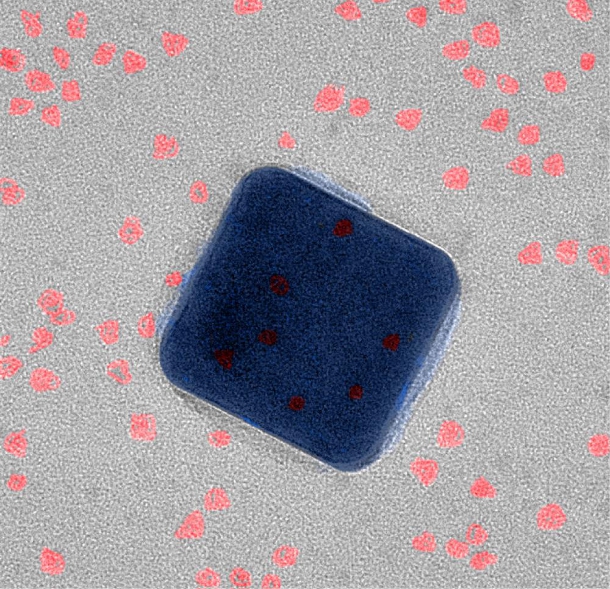 A nanoscale view of the new superfast fluorescent system using a transmission electron microscope. The silver cube is just 75-nanometers wide. The quantum dots (red) are sandwiched between the silver cube and a thin gold foil.