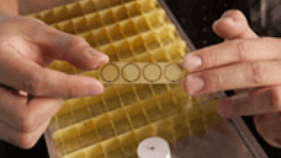 Novel negative-index frequency-doubling device demonstrates the next step in light manipulation
