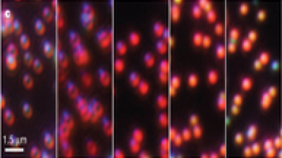 "Photonics: Trick of the light " ~Nature.com